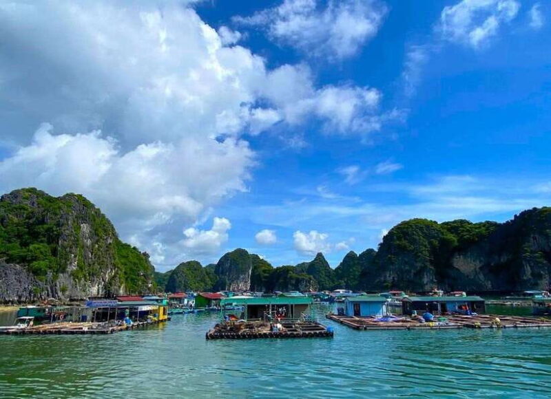 Full Day Boat Tour explore Cat Ba Archipelago & Lan Ha Bay - Why You’ll Love This Experience