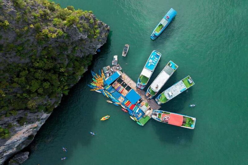Full Day Boat Tour explore Cat Ba Archipelago & Lan Ha Bay - The Sum Up: Who Is This Tour Perfect For?