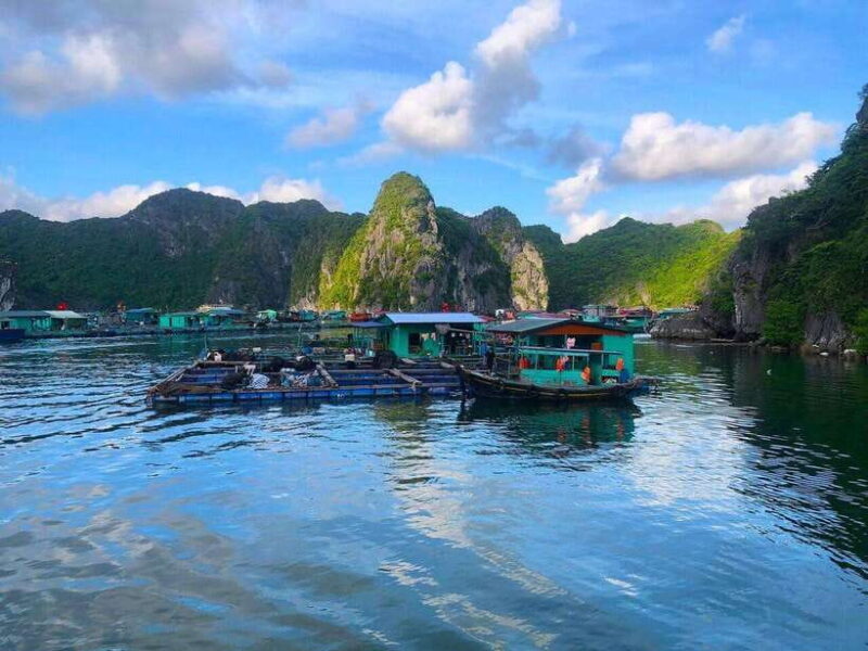 Full Day Boat Tour explore Cat Ba Archipelago & Lan Ha Bay - FAQ