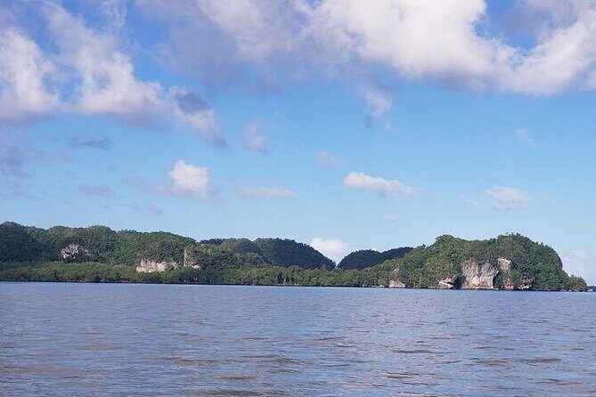 Full-Day Boat Tour of Los Haitises National Park - Final Thoughts