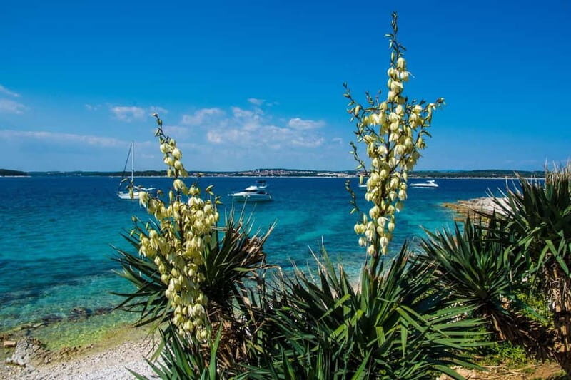 Full-Day Boat Trip, Cave Swim, lunch & Drinks - Medulin/Ceja - The Journey Begins: From Medulin Harbor