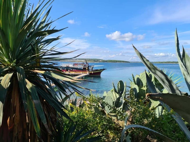 Full-Day Boat Trip, Cave Swim, lunch & Drinks - Medulin/Ceja - How the Experience Feels for Travelers