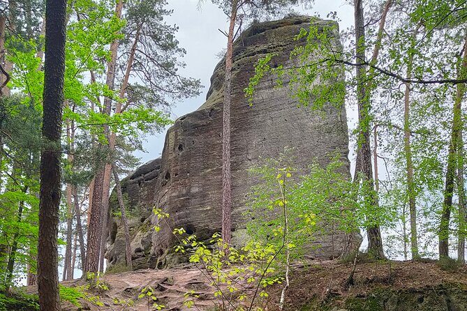 Full Day Bohemian Paradise Hiking Tour - The Group Experience and Practical Details