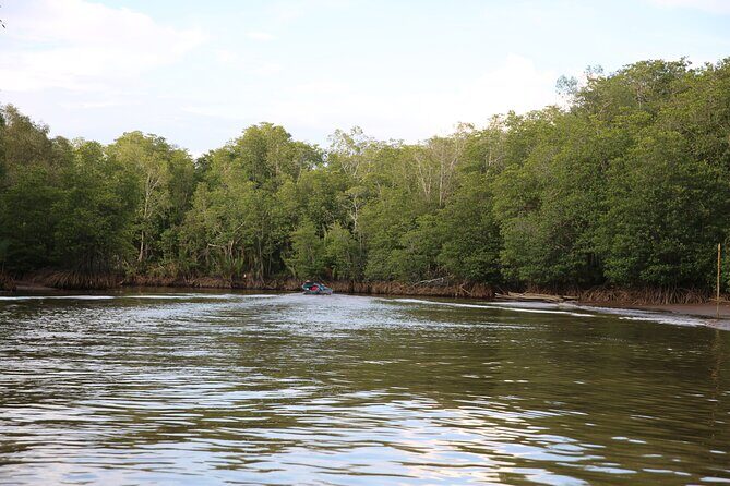 Full Day Bongawan River Cruise with Proboscis Monkey Sightseeing - The Sum Up