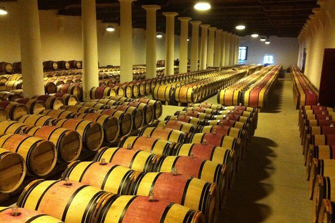 Full day Bordeaux Historic Gourmet Walking and Médoc Tour - A Deep Dive into the Bordeaux Gourmet and Médoc Experience