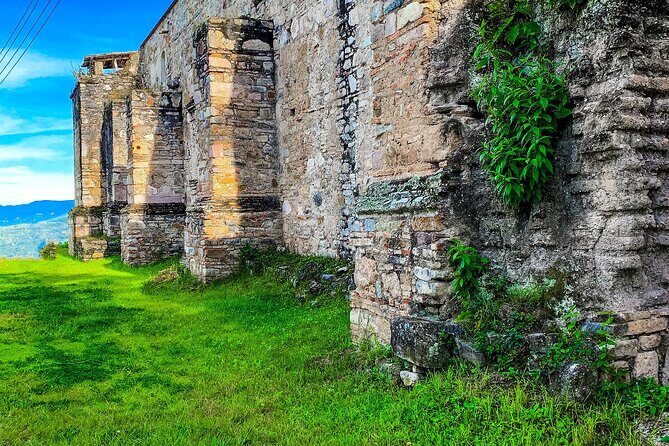 Full Day Bromeliad Forest Tour from Oaxaca - Frequently Asked Questions