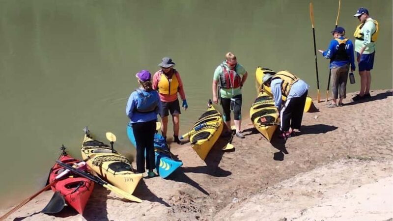 Full-Day Buffalo Bayou Kayaking Tour - Key Points