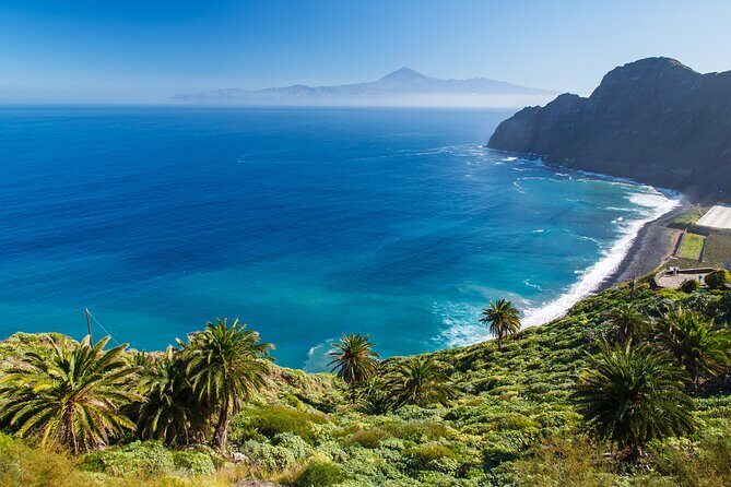 Full-day Bus Tour to La Gomera Island with Professional Guide - Key Points