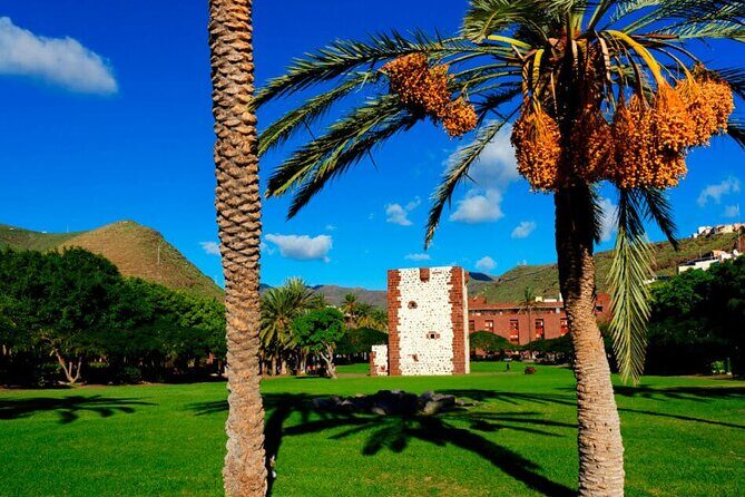Full-day Bus Tour to La Gomera Island with Professional Guide - The Complete Experience: A Detailed Review