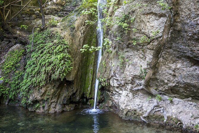 Full Day Butterflies and Boat Tour to Chalki Island - An In-Depth Look at the Full Day Butterflies and Boat Tour to Chalki Island