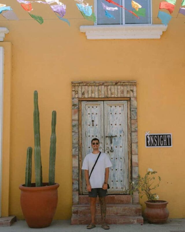 Full Day Cabo San Lucas and San Jose Del Cabo Cultural Tour - Who Will Appreciate This Tour?