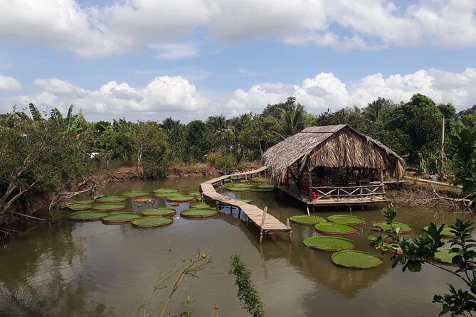 Full-day Cai Rang floating market - explore countryside, make bakery - from HCM - Key Points