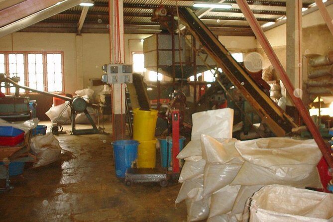 Full-day Cameron Highlands Day Trip from Kuala Lumpur - Final Thoughts