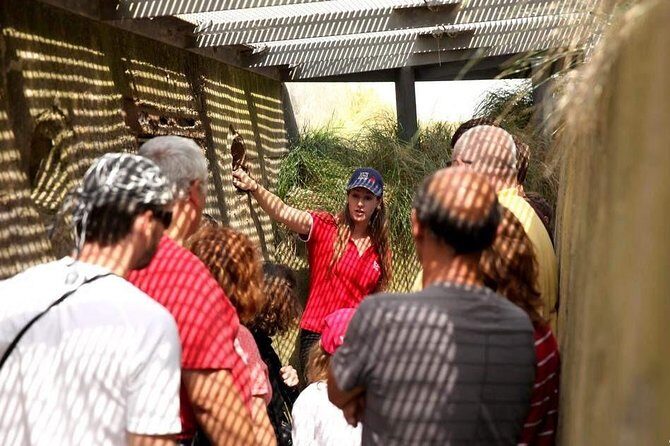 Full-Day Canadian Battlefields and sites Normandy Tour - Exploring the Normandy Tour in Detail