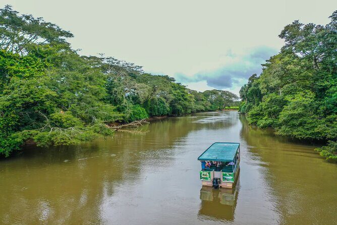 Full-Day Caño Negro Wildlife Refuge Boat Tour - Why This Tour Is Worth Considering