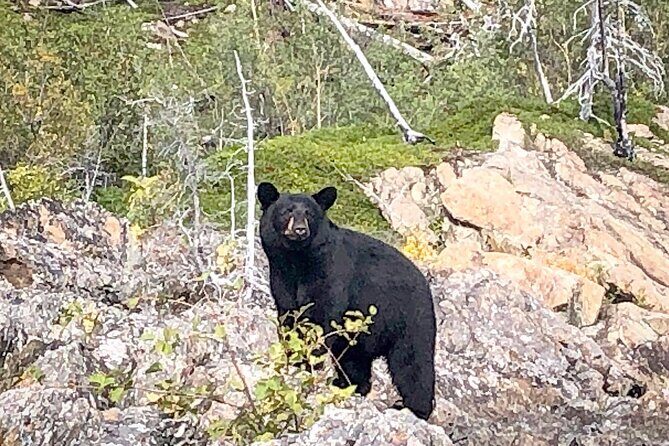 Full Day Canyon fishing trip - FAQ