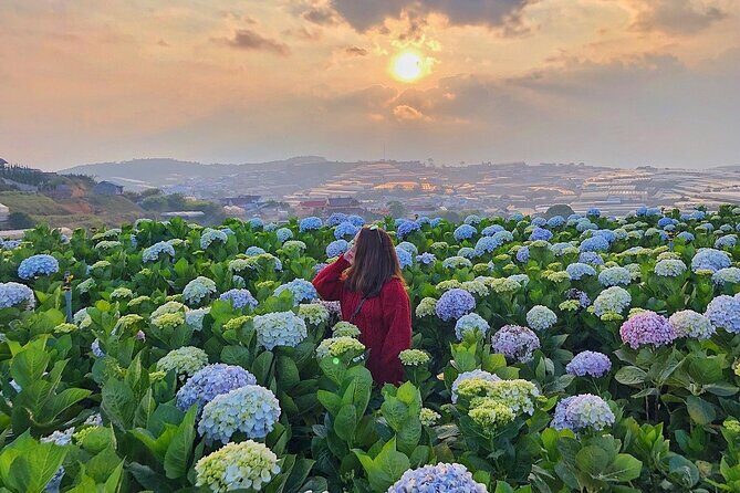 Full Day Car Tour Excursion Dalat ( Minimum 4 guest) - Exploring Dalat in Comfort: A Full-Day Private Car Tour from Nha Trang