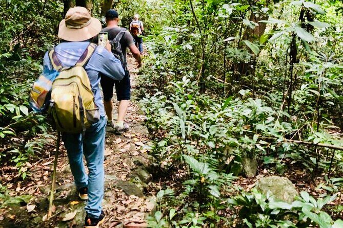 Full day Cat Ba National Park adventure Tour from Cat Ba island - An In-Depth Look at the Cat Ba National Park Tour