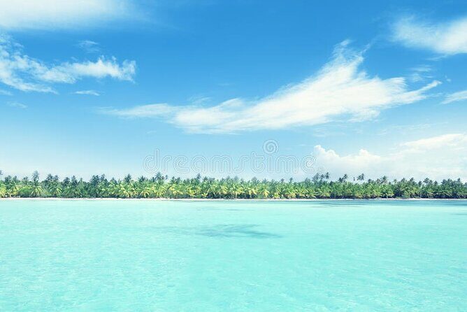 Full Day Catalina Island and Cap Cana Snorkel Tour - Final Thoughts