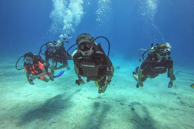 Full-Day Catalina Island Scuba Diving Tour from La Romana - An Honest Look at the Full-Day Catalina Island Scuba Diving Tour from La Romana