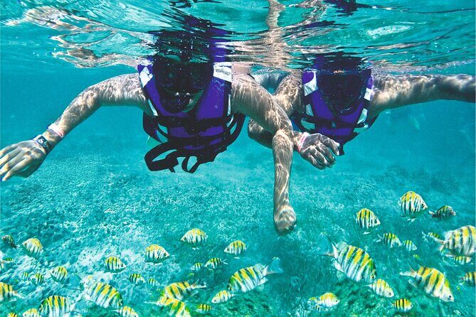 Full - Day Catalina Island Snorkel from Juan Dolio & Boca Chica - FAQ