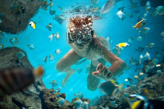 Full Day Catalina Island Snorkeling Adventure & Altos de Chavon - Key Points