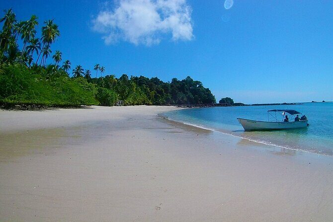 Full Day Catalina Island With Scuba Diving - FAQ