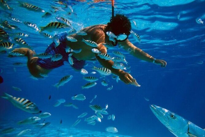 Full-Day Catamaran Cozumel Tour with Sky Snorkeling - Key Points