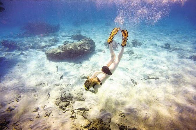 Full-Day Catamaran Snorkeling Tour with Lunch from Puerto Plata - FAQ