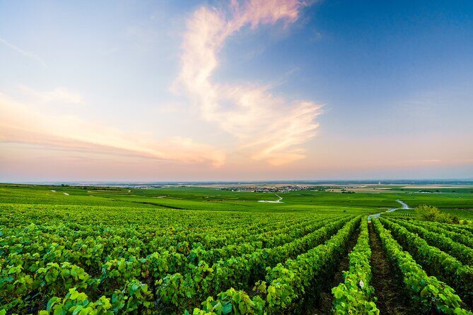Full Day Champagne Pommery Small Group Tour - Final Thoughts