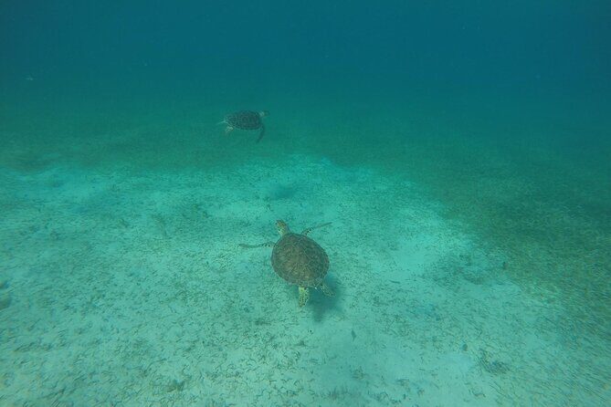 Full Day Charter from Fajardo to Culebra - Frequently Asked Questions