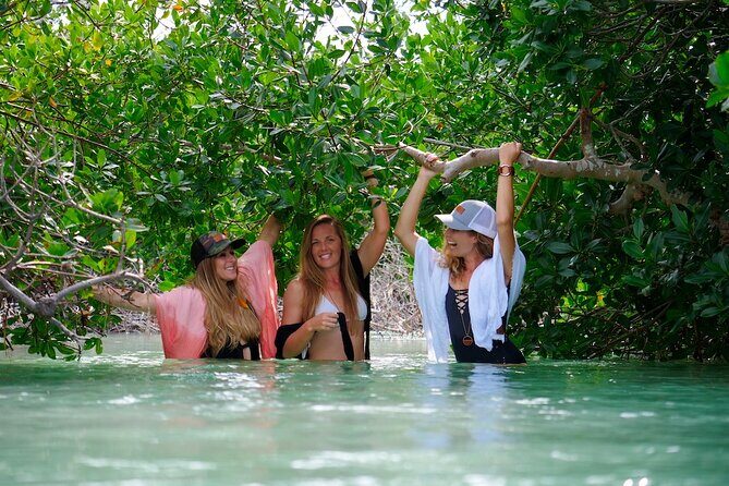 Full Day Charter Snorkeling Sandbar and Eco Safari Adventure - The Experience in Detail: Itinerary Breakdown