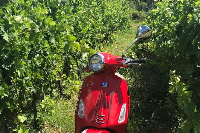 Full-Day Chianti Tour by Vespa Scooter from San Gimignano - FAQ