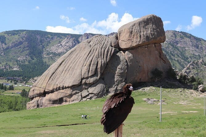 Full Day Chinggis Khaan Statue & Terelj NP Tour +Horseride, Eagle - Who Is This Tour Best For?