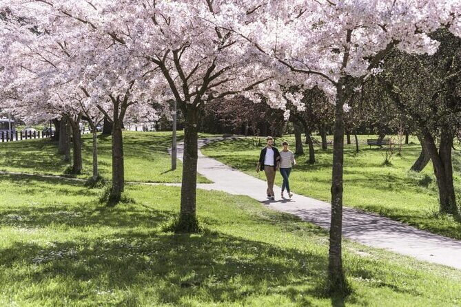 Full-day Christchurch Highlights Tour - The Sum Up: Why This Tour Offers Value