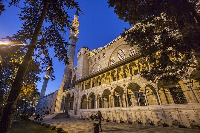 Full-Day City Tour with Private Tour Guide and Red Carpet Treatment with Luxury Minibus - Transportation and Logistics