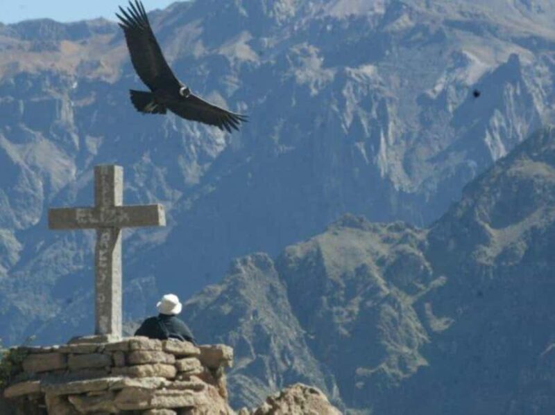 Full-Day Colca Canyon Tour from Arequipa - Key Points