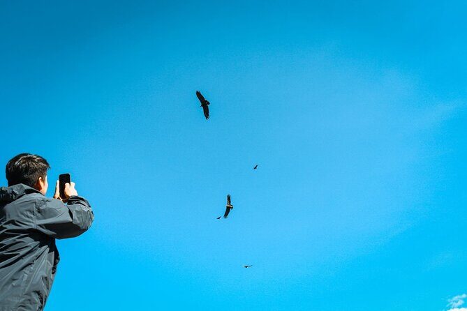 Full-Day Colca Canyon Tour with Lunch - Exploring the Itinerary in Depth