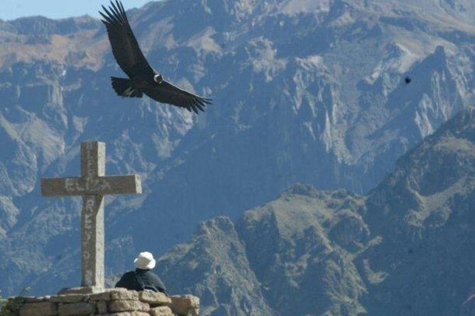 Full day Colca Canyon with Entrances from Arequipa - Why This Tour Offers Great Value