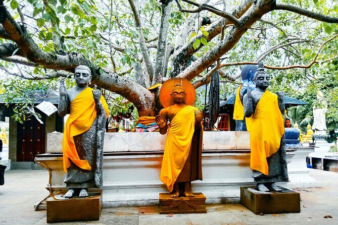 Full day Colombo City Tour - Private Air Condition Car and Driver - FAQ