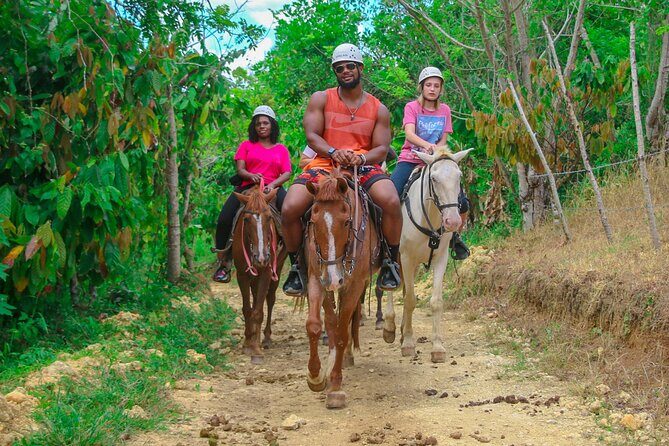 Full-Day Combo Buggy, Zip Line And Horses From Punta Cana - Final Thoughts: Is This Tour Right for You?