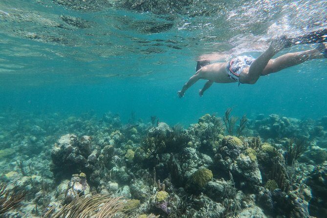 Full Day Cruise from Providenciales with Snorkeling and BBQ Lunch - FAQ