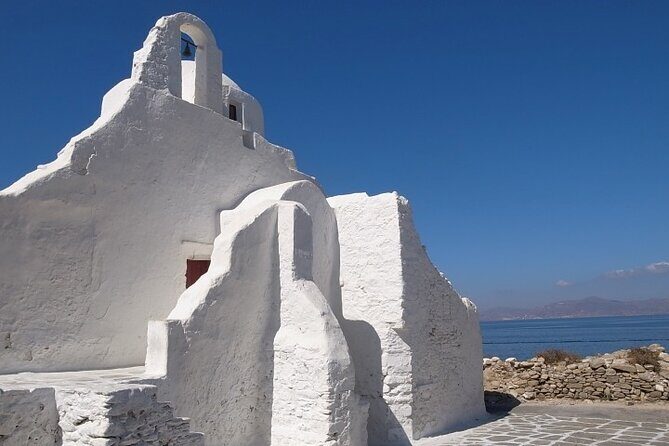 Full Day Cruise to Delos and Mykonos Islands from Paros - Potential Drawbacks & Considerations