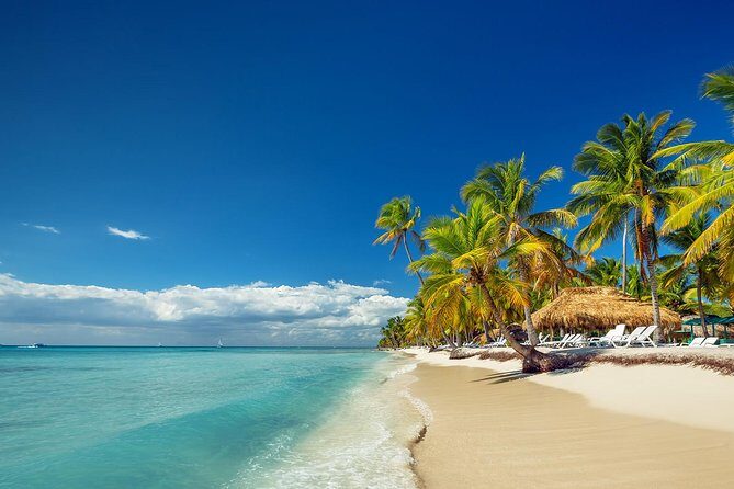 Full-Day Cruise to Saona Island - Natural Pool and Lunch - A Genuine Look at the Full-Day Saona Island Tour