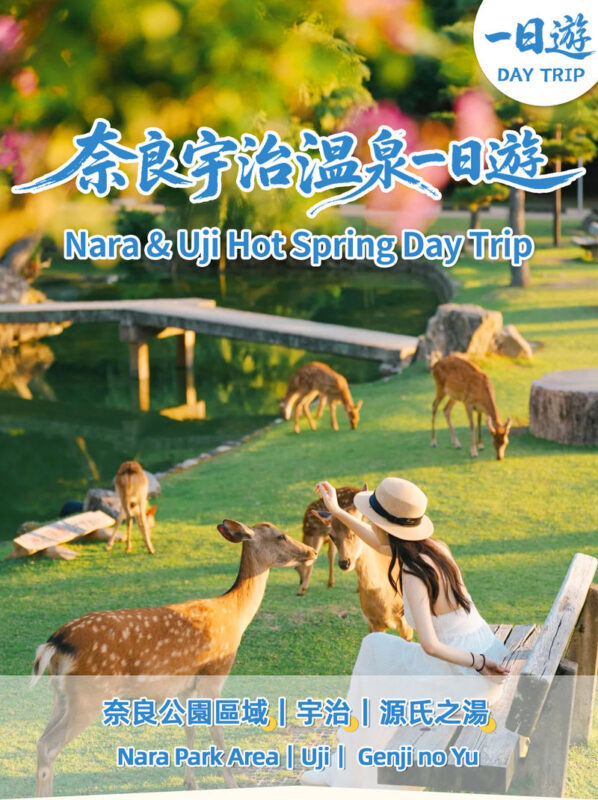 Full-Day Cultural Heritage Tour of Nara and Uji - Nara Park: deer, temples, and a short visit