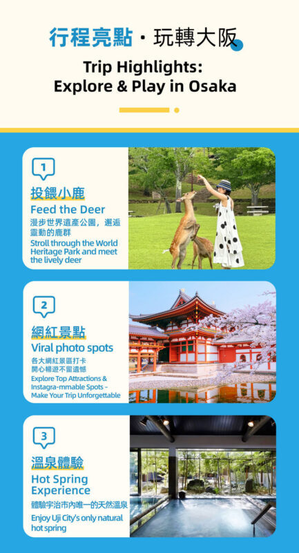 Full-Day Cultural Heritage Tour of Nara and Uji - The optional hot spring choice