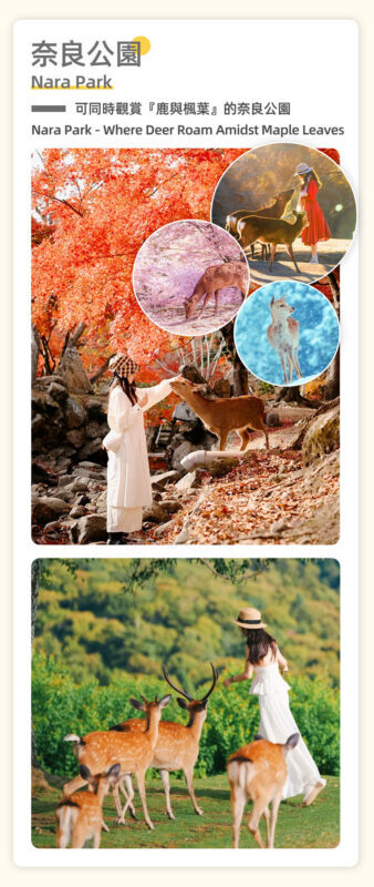 Full-Day Cultural Heritage Tour of Nara and Uji - Price, extra costs, and value