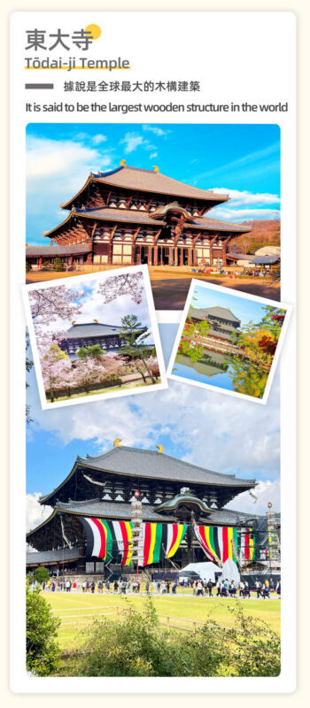 Full-Day Cultural Heritage Tour of Nara and Uji - Timing, weather, and useful preparation