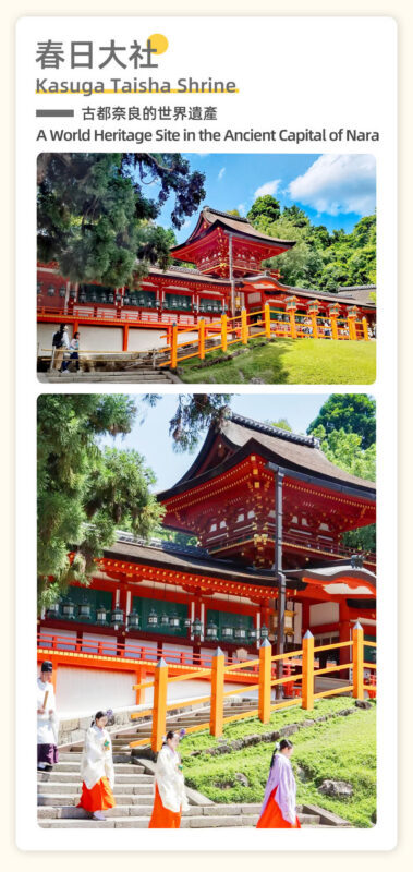 Full-Day Cultural Heritage Tour of Nara and Uji - Who should book this day trip?