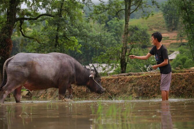 Full Day Cultural Tour in Sapa Terraces - Experience the Beauty of Sapa: Full Day Cultural Tour through Terraces and Traditional Villages